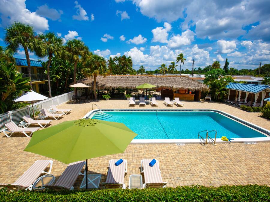 A pool area with lounge chairs and umbrellas, surrounded by palm trees and a thatched-roof structure.