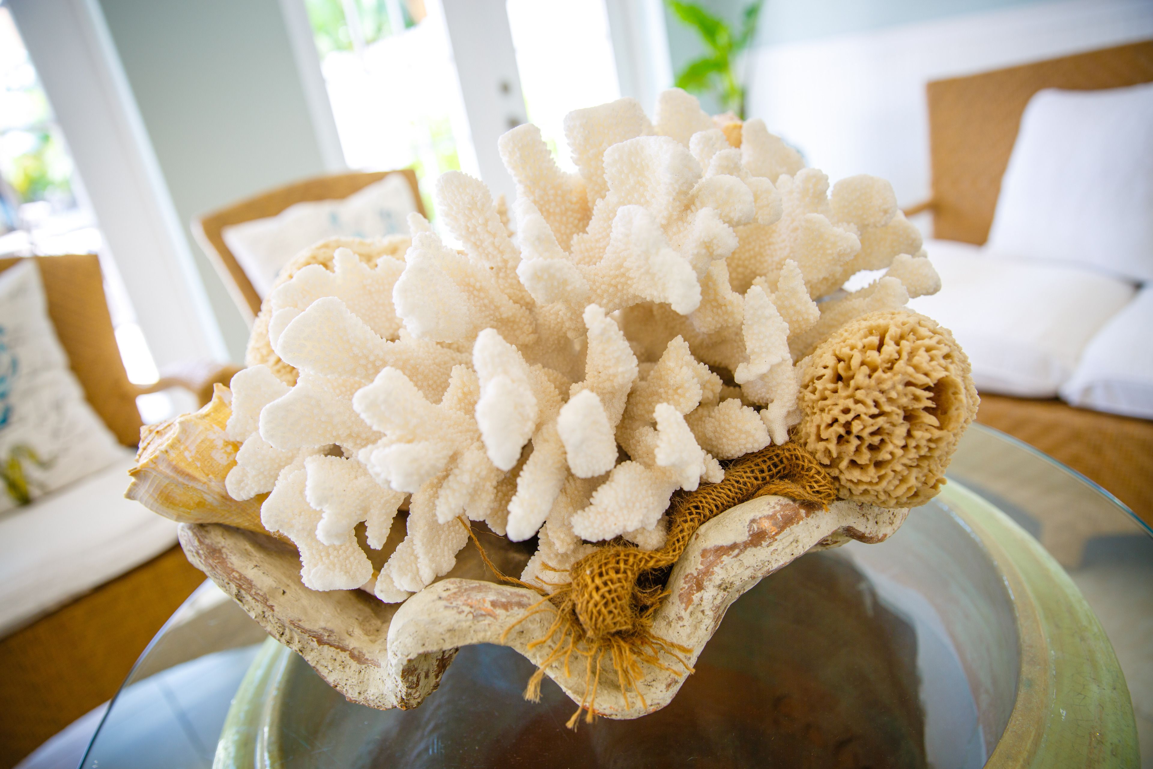 A coral sculpture on a glass table in a room with a white couch and a wooden chair.