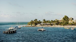A coastal scene with boats on the water, a beach, and buildings with palm trees. - King Christian Hotel (Christiansted)