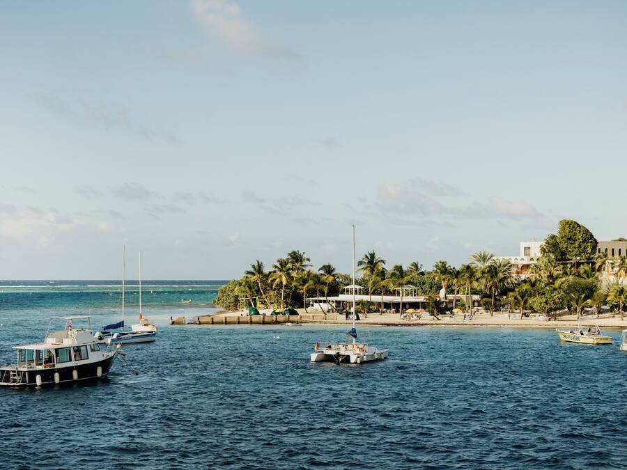 Escena costera con barcos en el agua, una playa y edificios con palmeras.