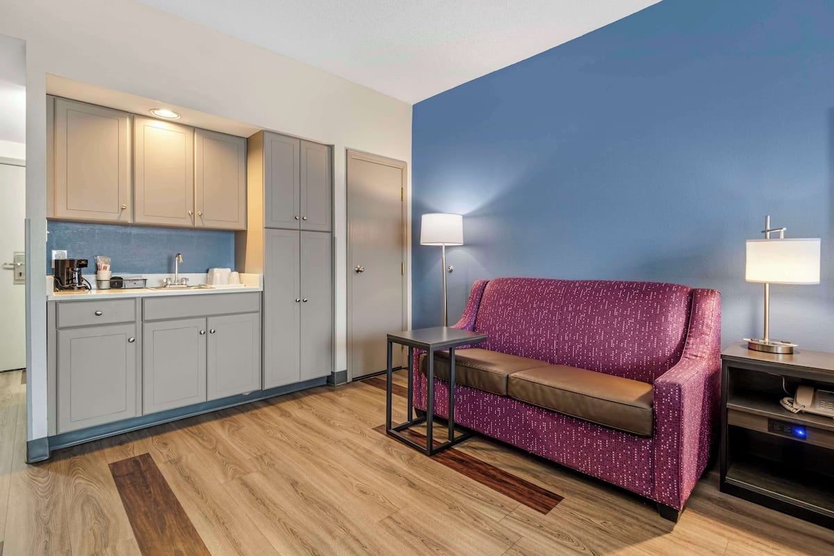 standard room, 1 king bed with sofa bed, non smoking, refrigerator & microwave (with sofabed) | premium bedding, pillow-top beds, in-room safe, desk