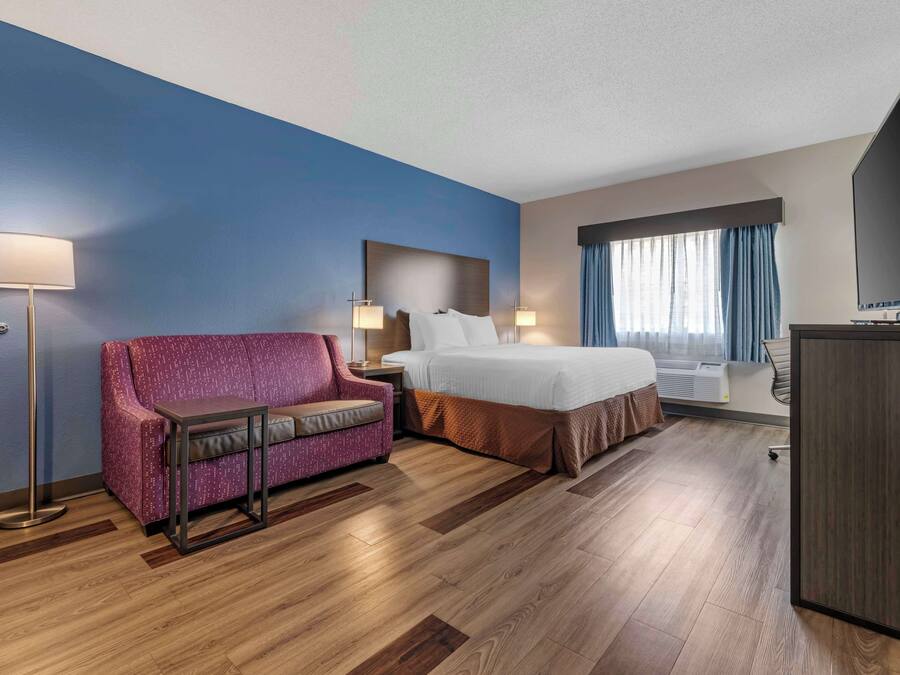 Standard Room, 1 King Bed with Sofa bed, Non Smoking, Refrigerator & Microwave (with Sofabed)