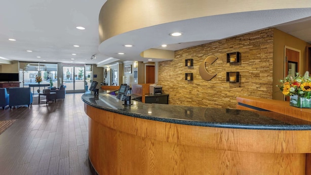 A reception area with a curved wooden counter, a stone wall with framed pictures, and a reception desk with a clock.