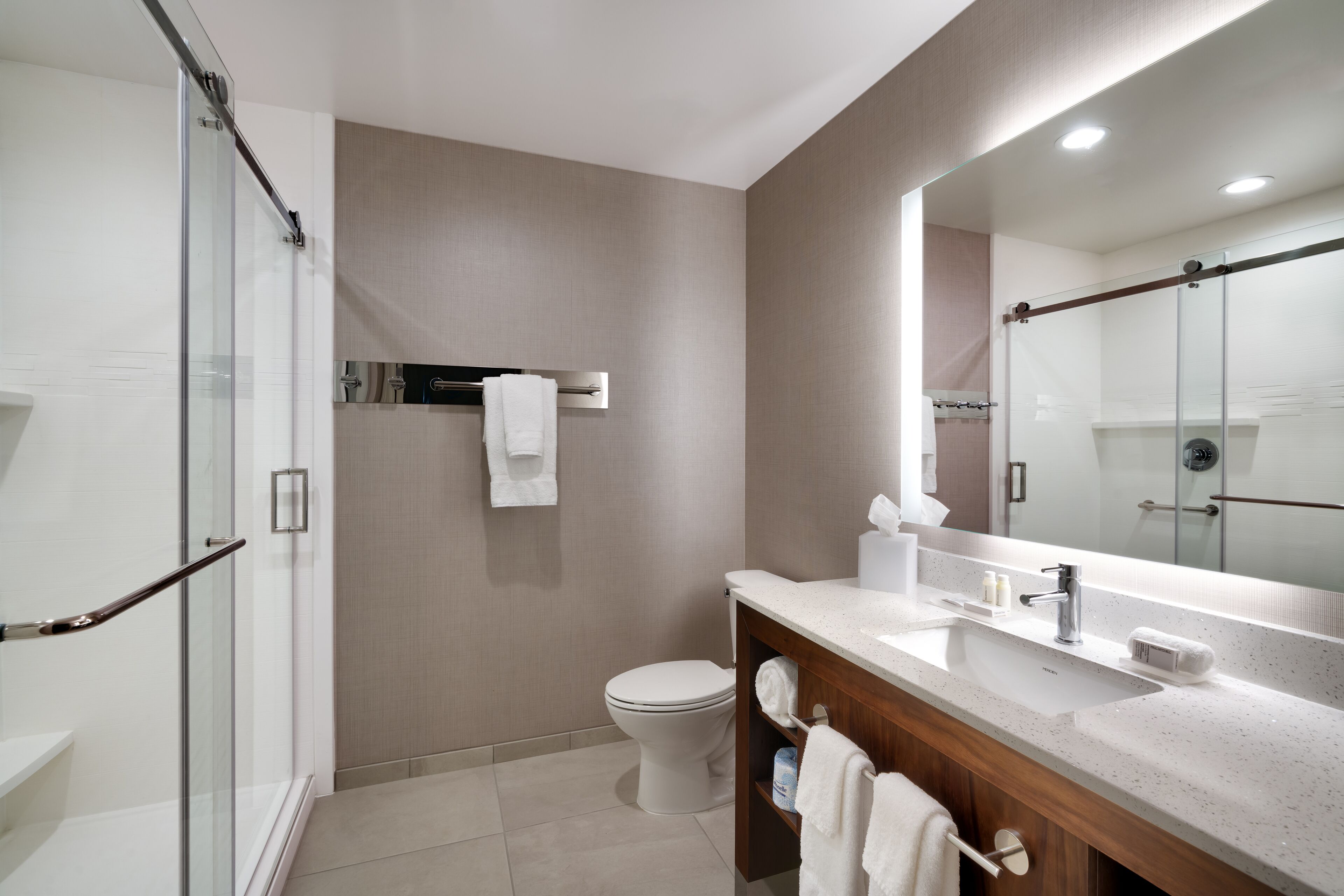 A modern bathroom with a glass shower, a toilet, a sink, and a large mirror.