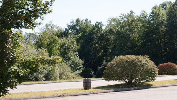 A parking lot with a wooden barrel, surrounded by various trees and shrubs. - Budget Inn North Stonington (North Stonington)