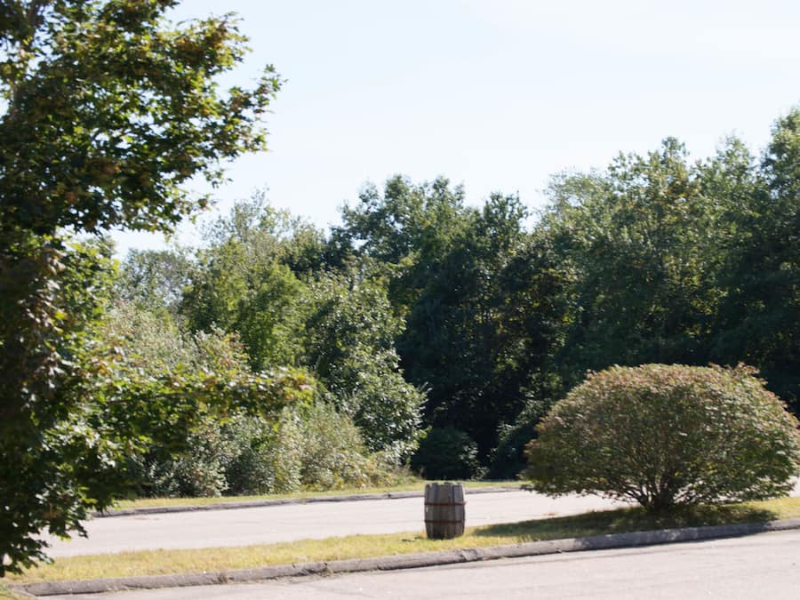 View from property