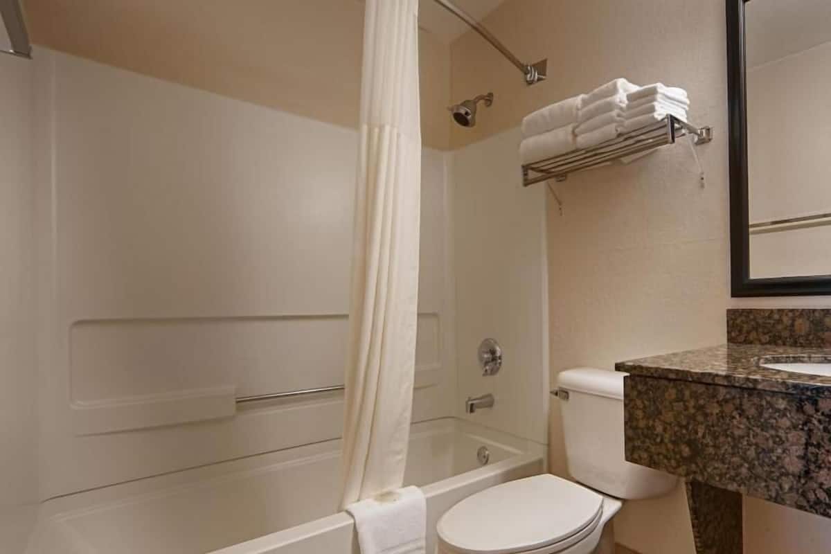 A bathroom with a shower, toilet, and sink.