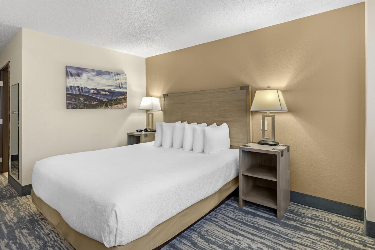 A hotel room with a large bed, two bedside tables with lamps, a nightstand, a wall-mounted painting, and a carpeted floor.