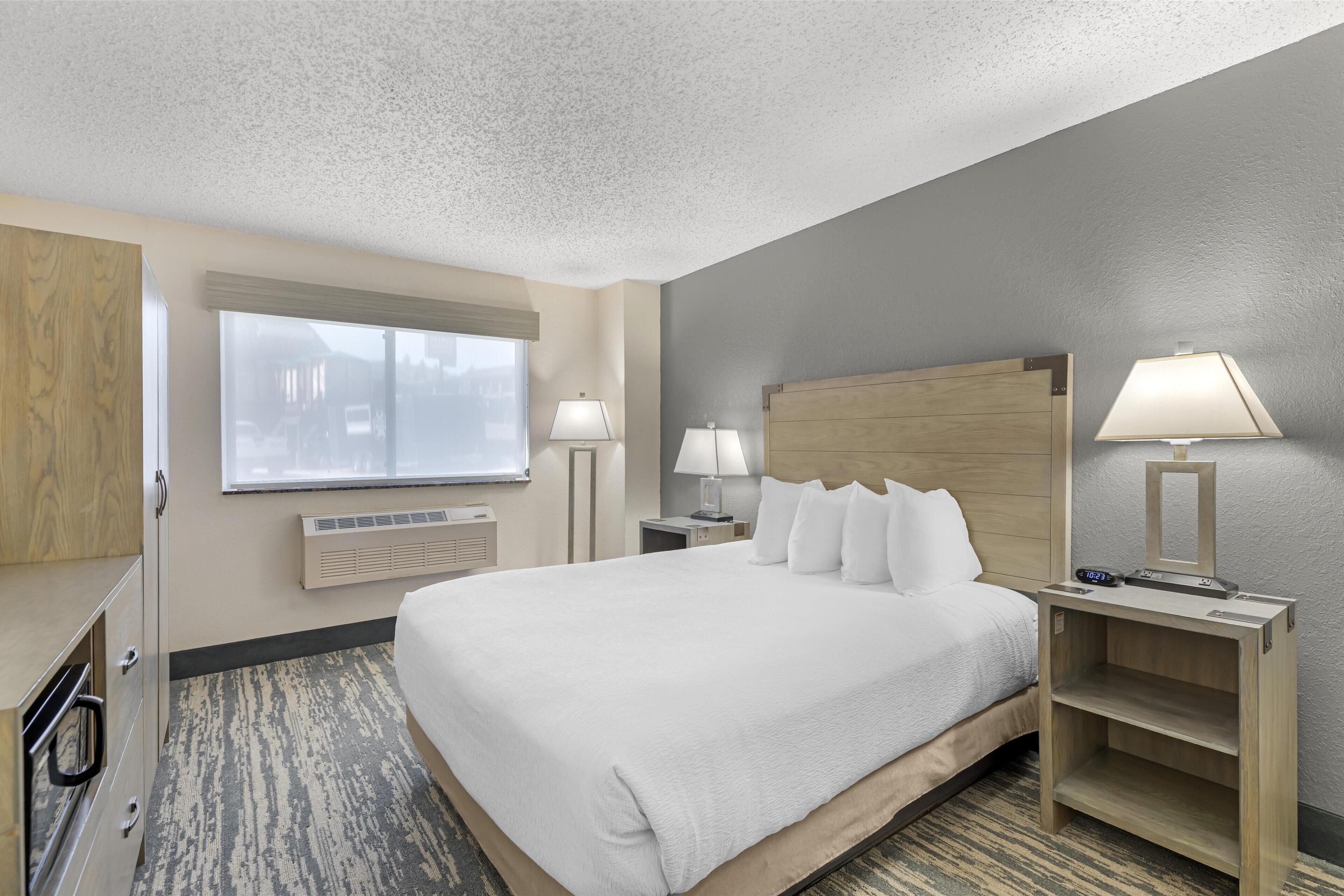 ada accessible roll-in-shower, deluxe one queen non-smoking, non pet friendly | desk, blackout curtains, iron/ironing board, rollaway beds