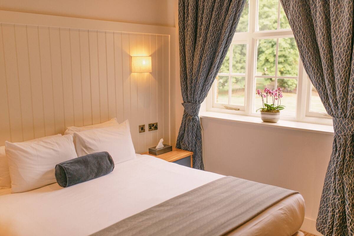 Une chambre d’hôtel avec un lit, une table de chevet avec une lampe, une fenêtre avec des rideaux et une plante en pot sur le rebord de la fenêtre.