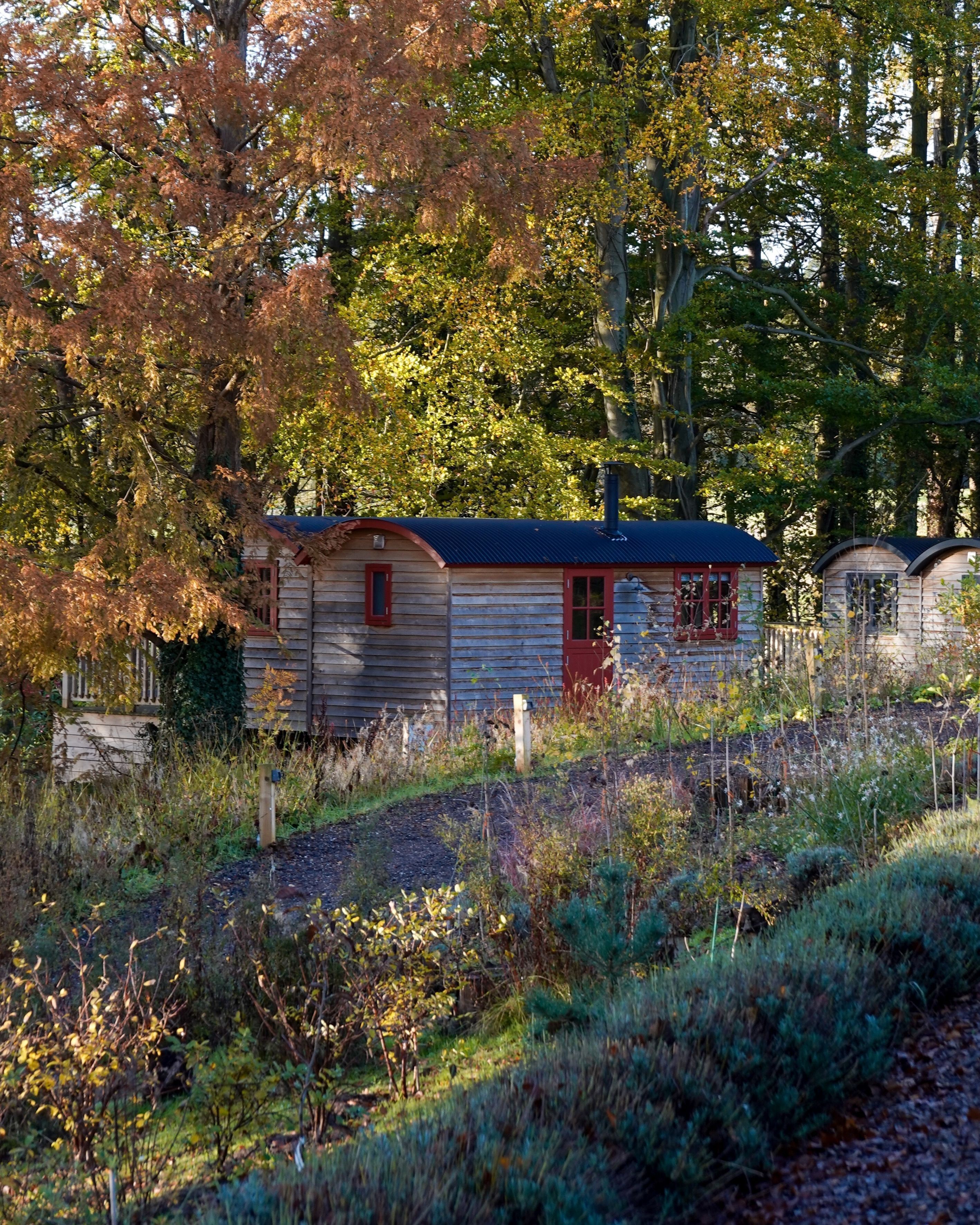 A rustic cabin with a red door and a chimney, surrounded by dense foliage and a dirt path.