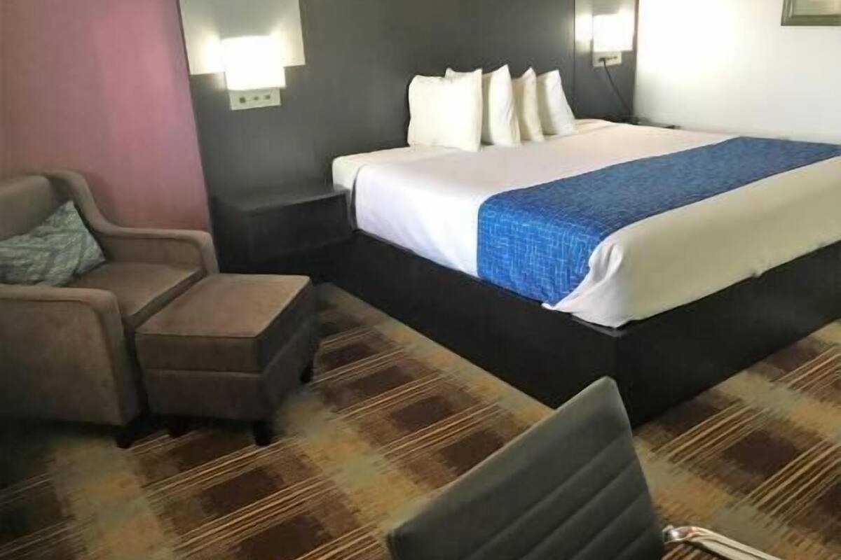 Une chambre d’hôtel avec un lit, une chaise, une table de chevet et un sol recouvert de moquette.