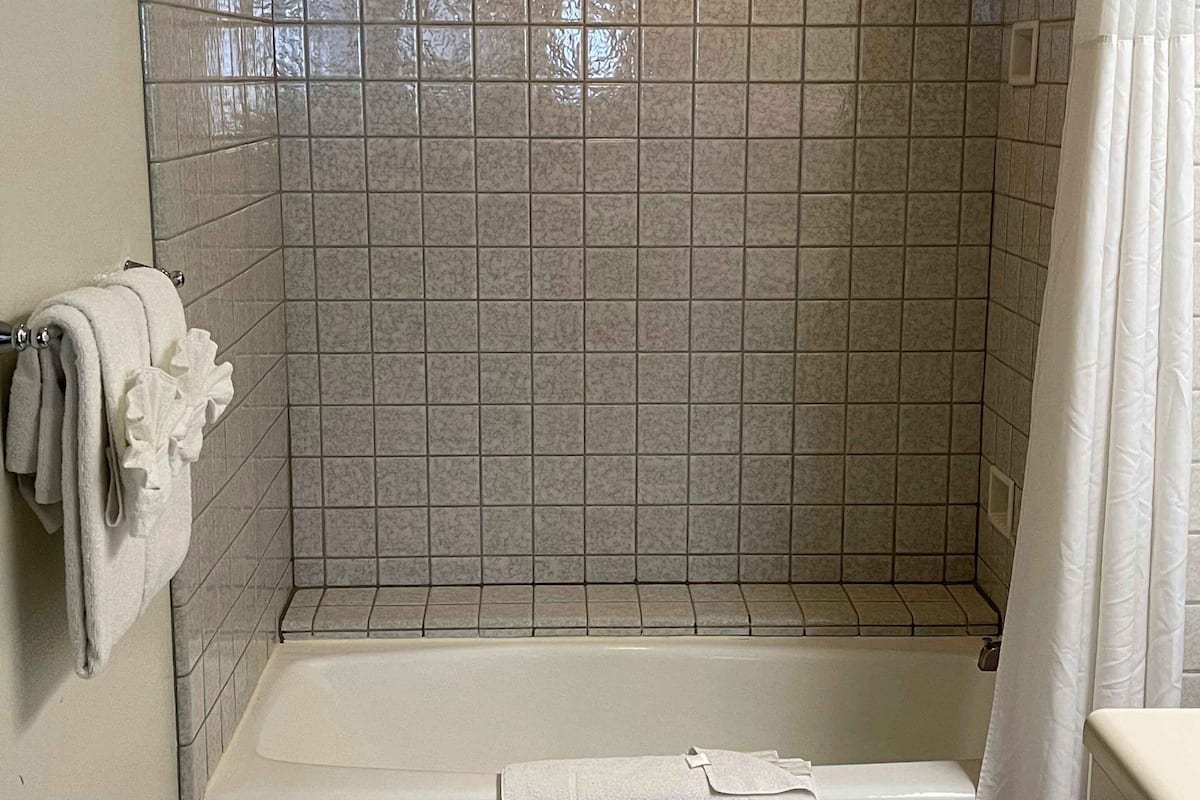 combined shower/bathtub, hair dryer, towels