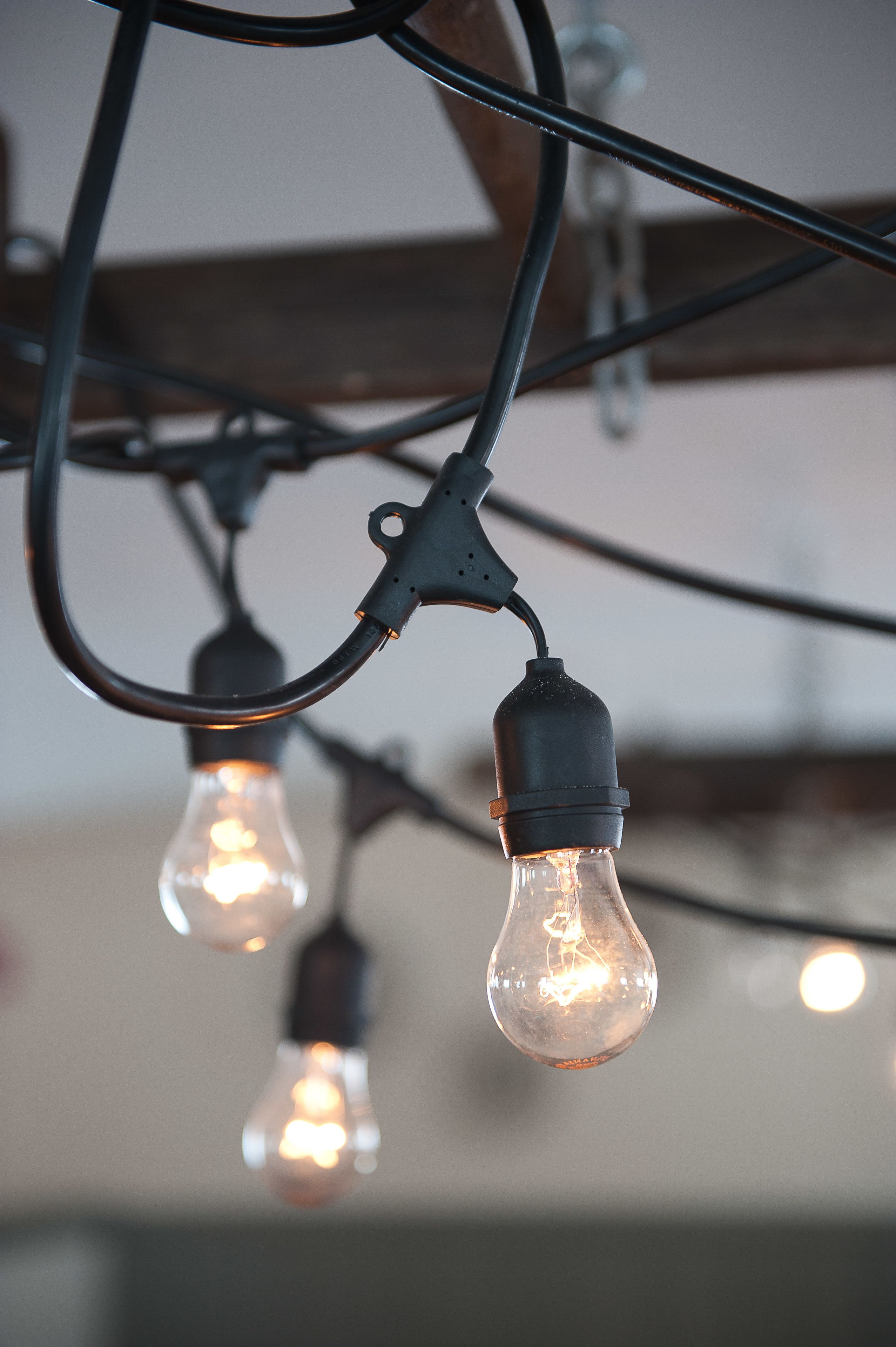 Gros plan de lampes suspendues dont on peut voir les filaments et le connecteur électrique noir.