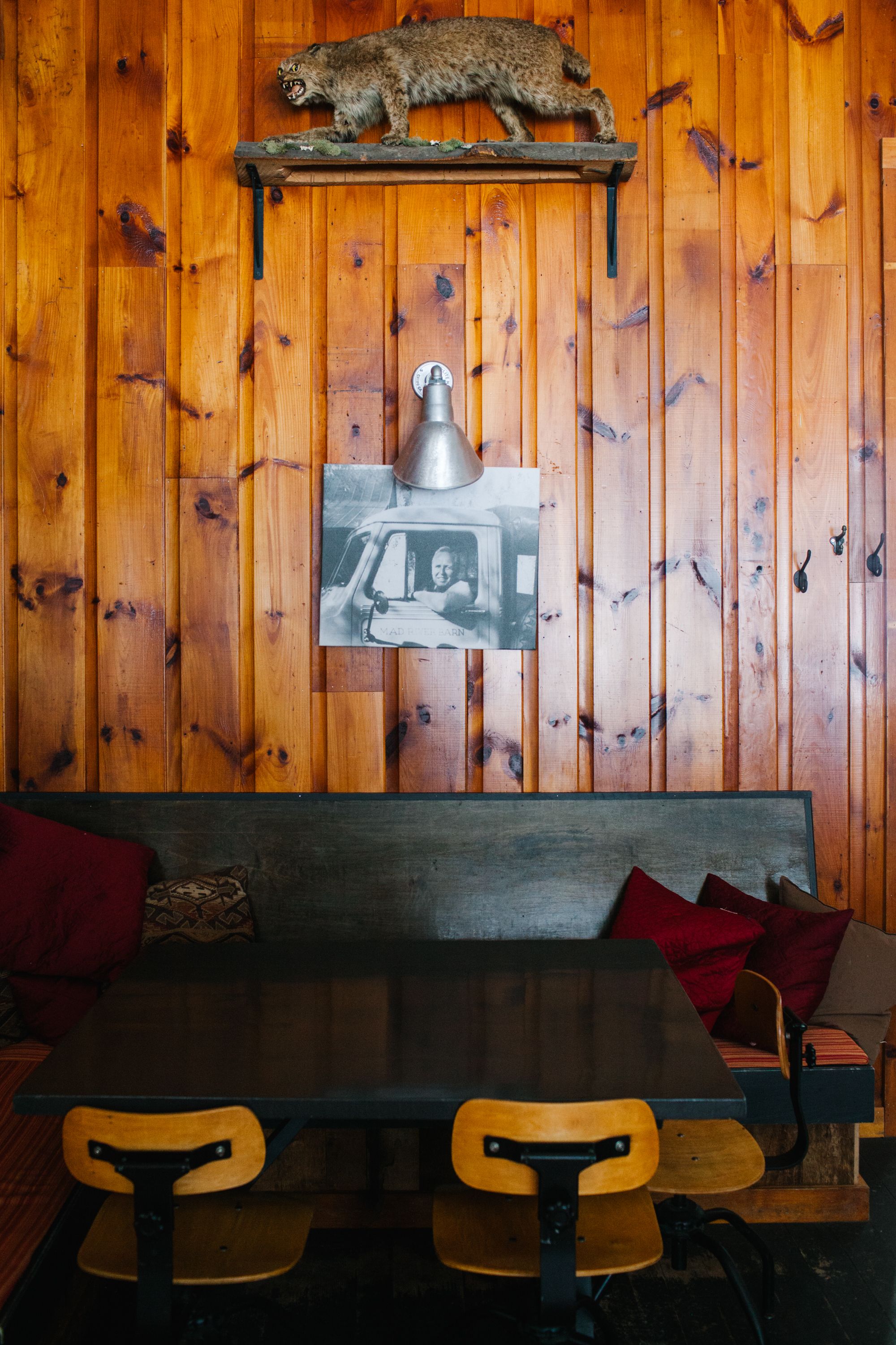 A wooden wall with a mounted animal head, a hanging bell, and a framed photograph.