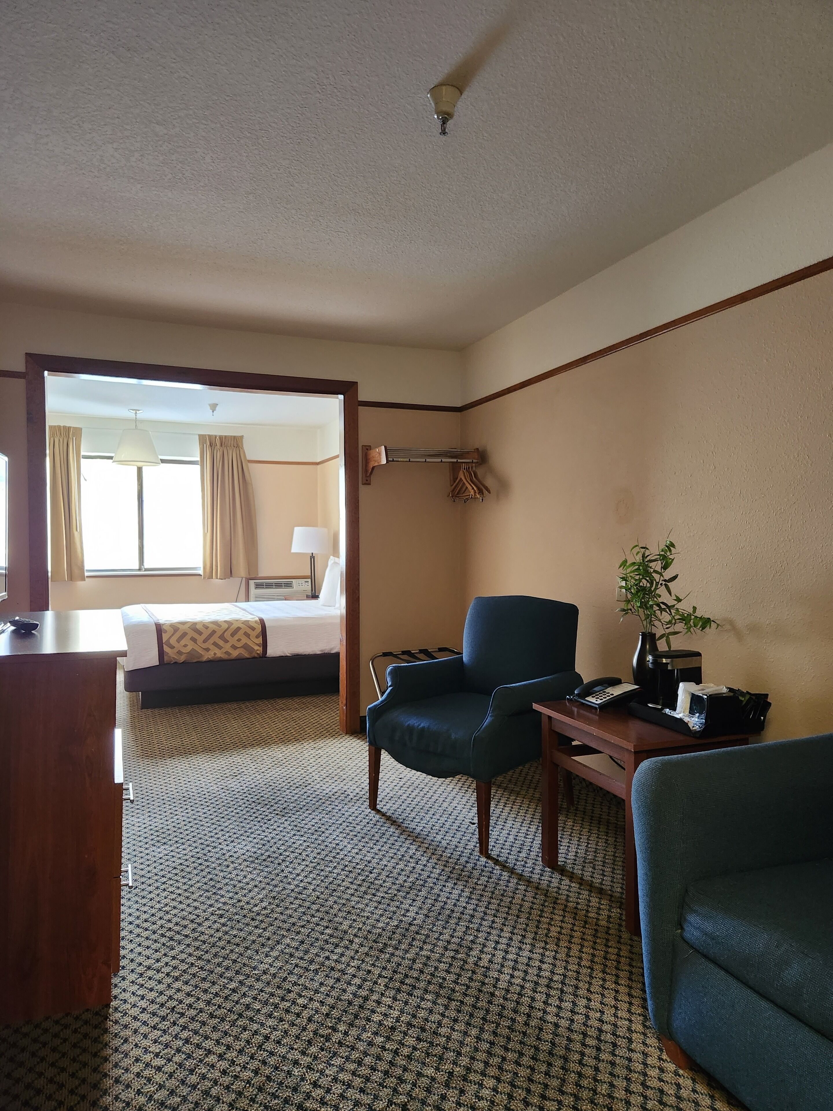 Una habitación de hotel con cama, escritorio con teléfono, silla, una mesita con planta y perchero.