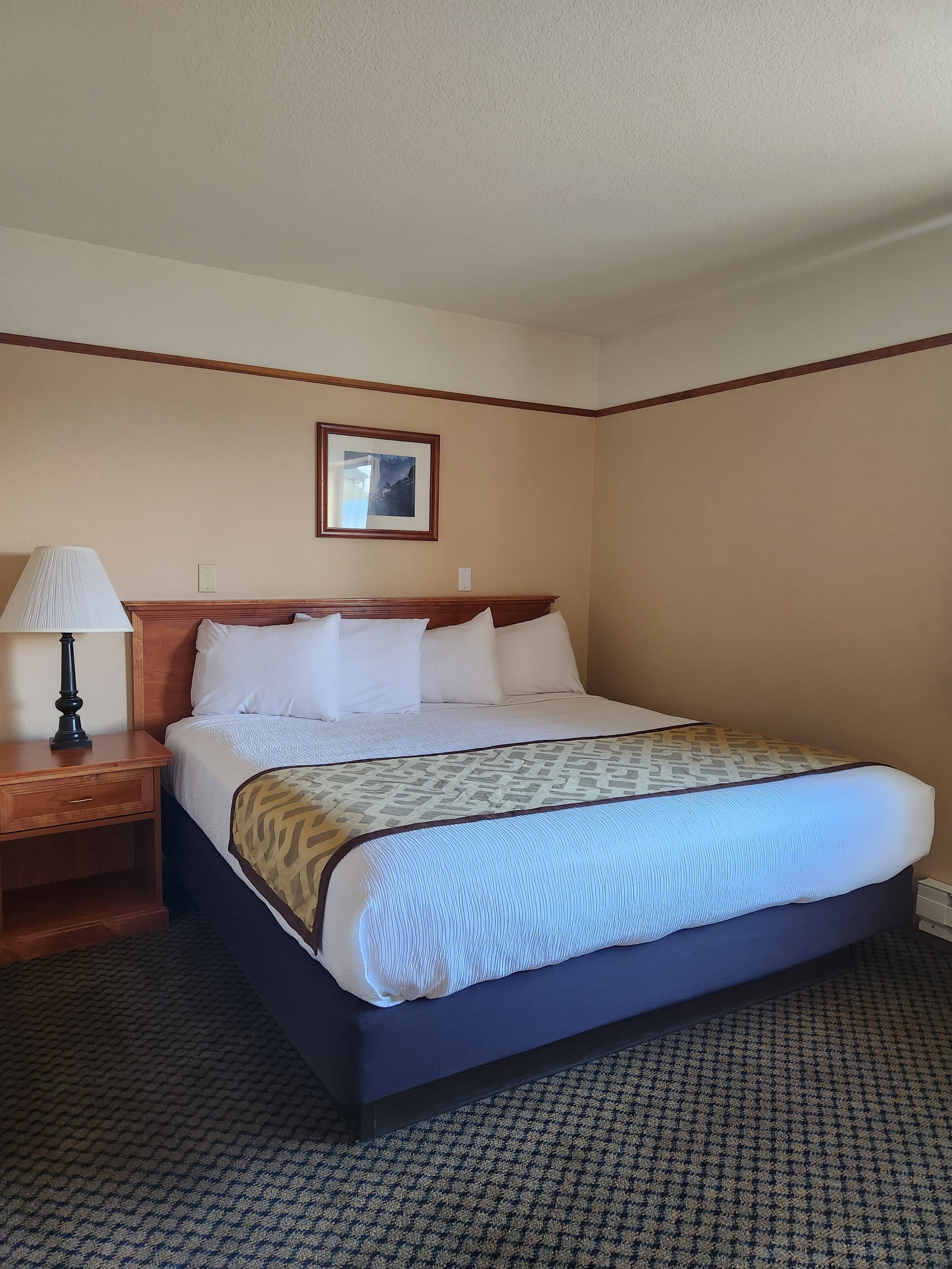 Une chambre d’hôtel avec un grand lit, une table de chevet en bois avec une lampe, un tableau encadré au mur et un tapis à motifs.