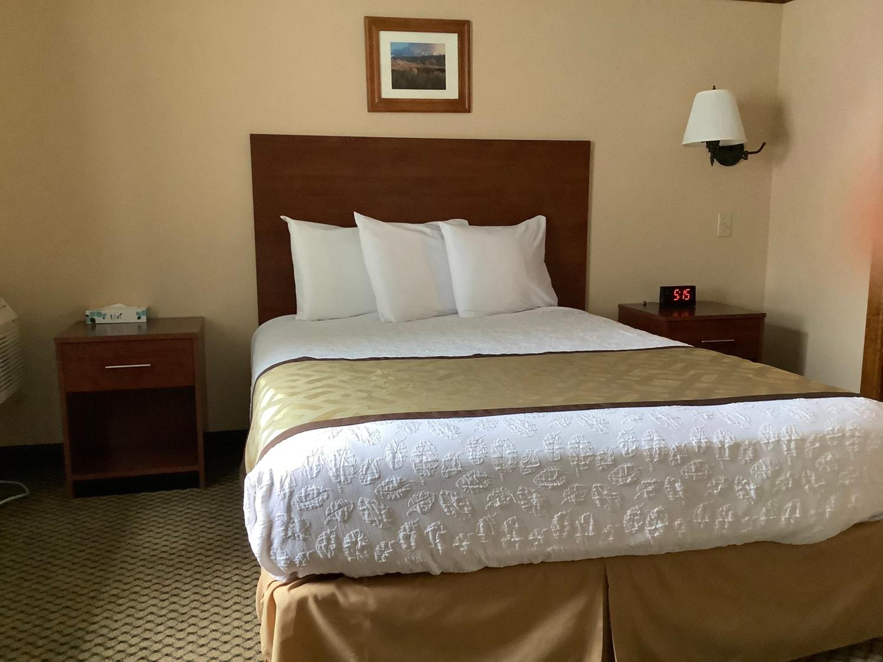Un cuarto de hotel con una cama grande, un cabecero de madera, una mesita de noche con lámpara y un cuadro en la pared.