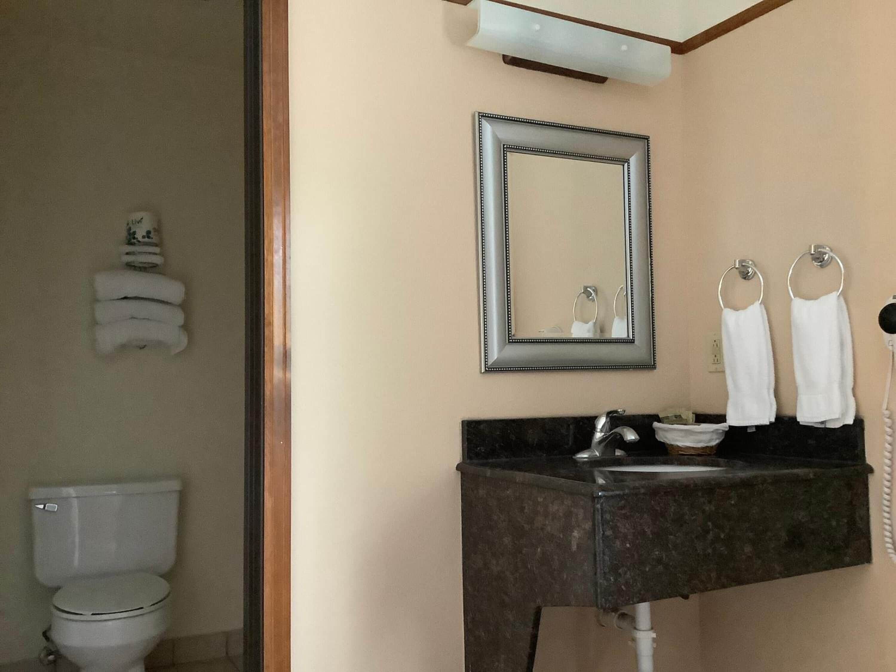 A bathroom with a toilet, sink, and mirror.