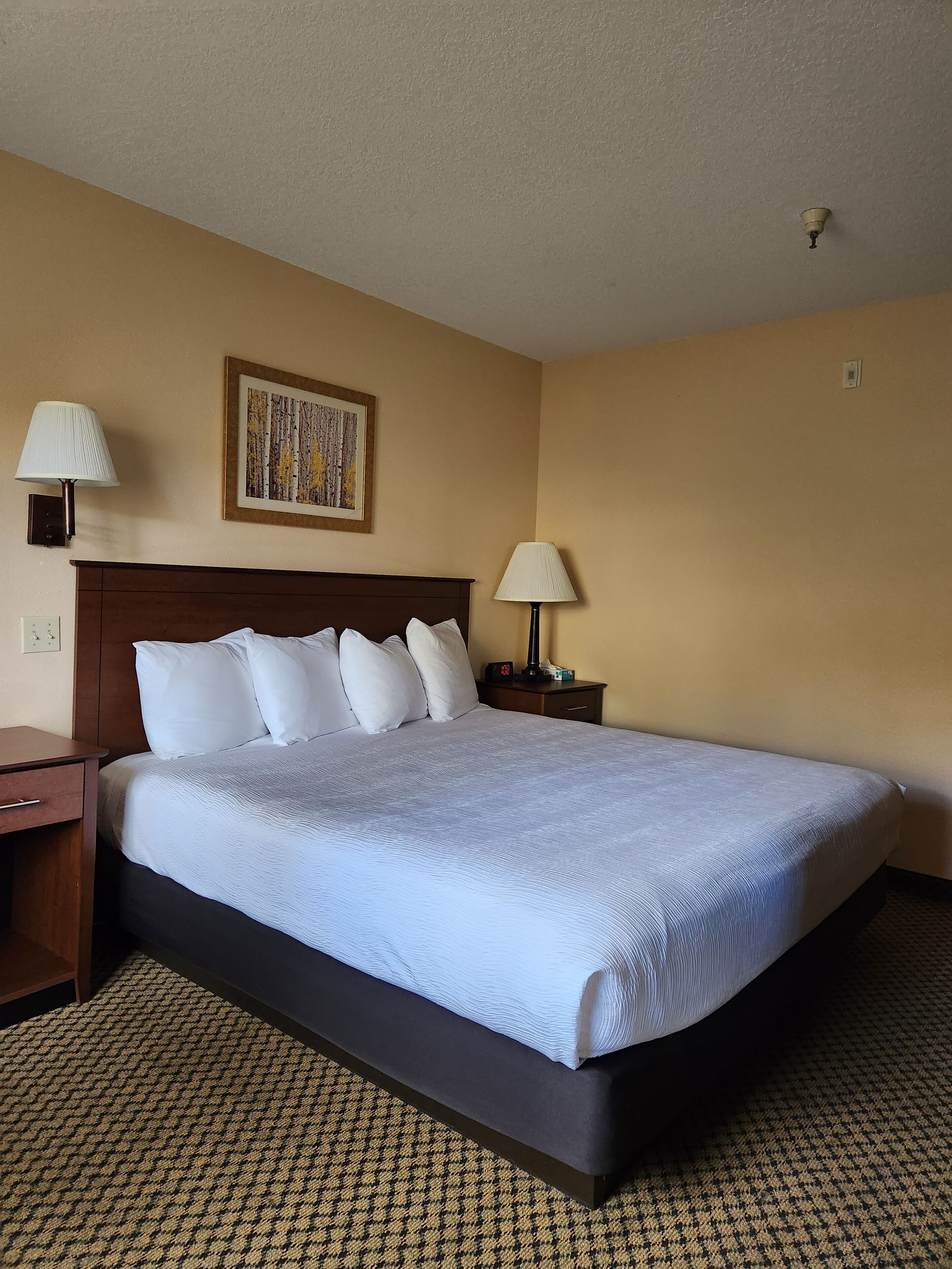 A hotel room with a large bed, two bedside tables, a nightstand, a wall-mounted lamp, and a framed picture.