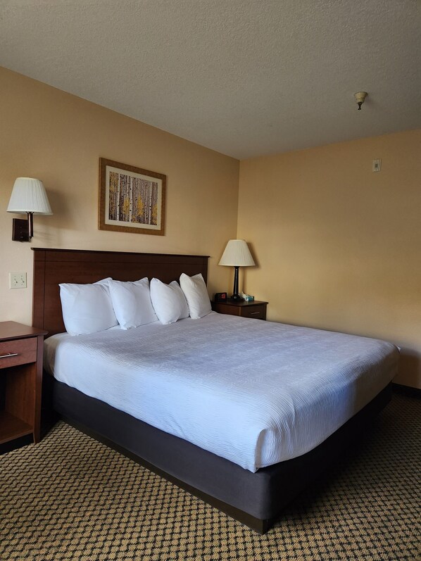 A hotel room with a large bed, two bedside tables, a nightstand, a wall-mounted lamp, and a framed picture.