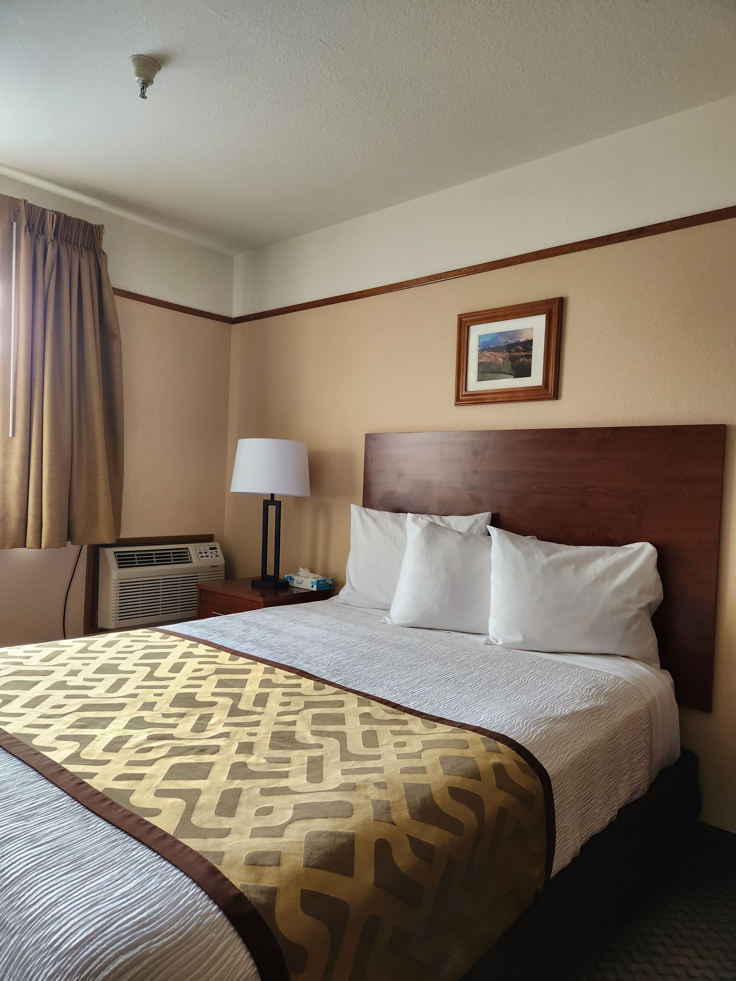 A hotel room with a large bed, a headboard, a bedside table with a lamp, a picture on the wall, and an air conditioning unit.