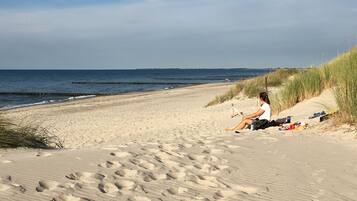 In Strandnähe, Liegestühle, Sonnenschirme