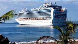 Um grande navio de cruzeiro chamado 'Princess Cruises' atracado em um porto, com céu claro e águas calmas.