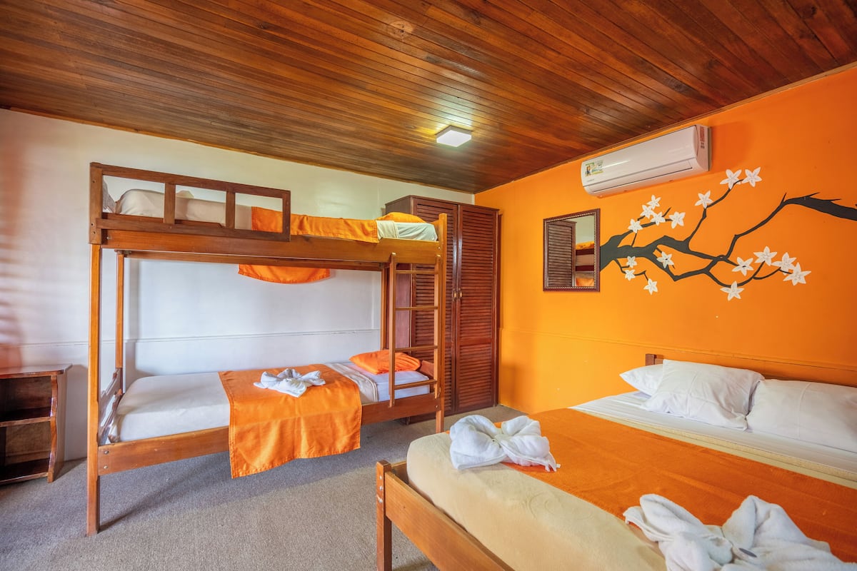 Habitación estándar con 1 cama doble o 2 individuales | Caja fuerte, cortinas opacas, wifi gratis y decoración individual