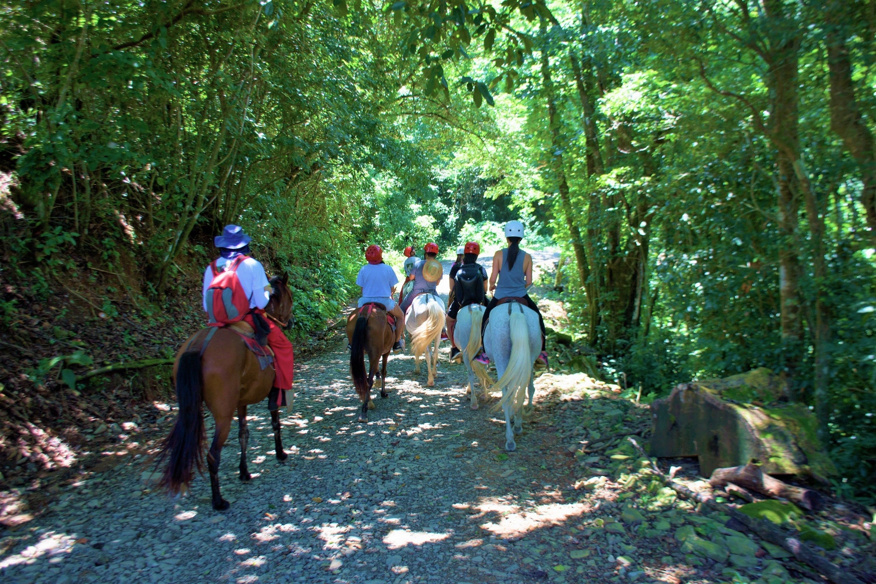 Un grupo de personas montando a caballo sobre un sendero de grava rodeado de densa vegetación verde.