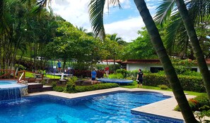Relax by the serene pool surrounded by lush greenery and palm trees.