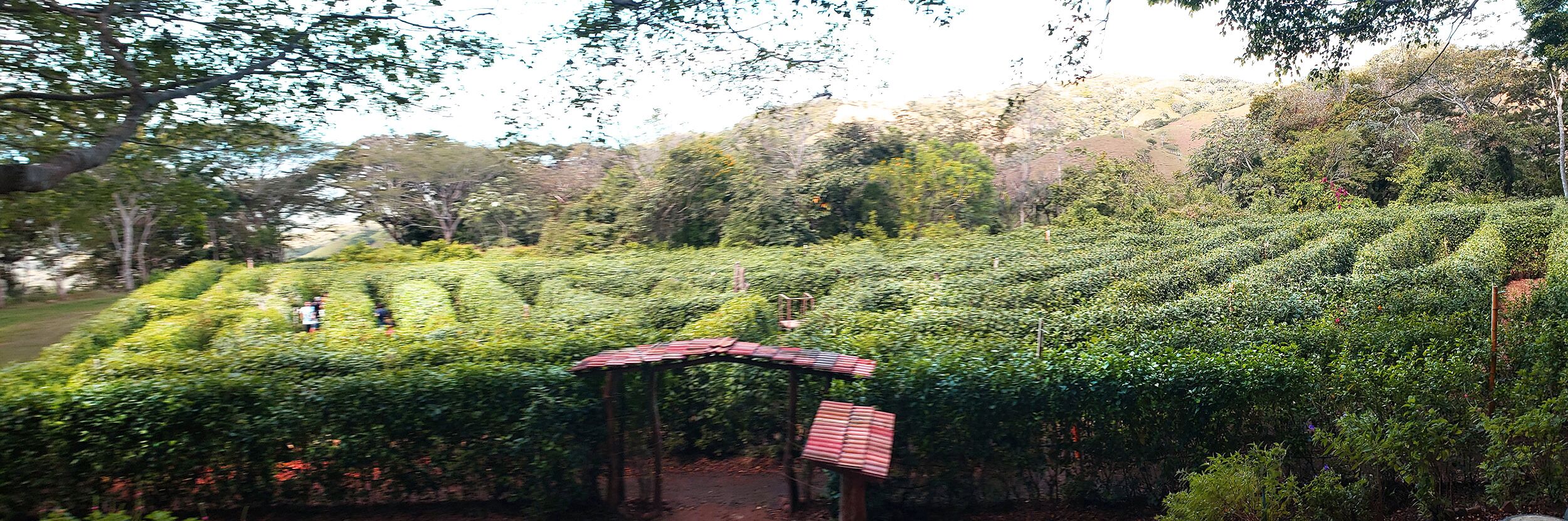 Un jardí amb setges ben podades i una construcció petita amb teulada vermella.