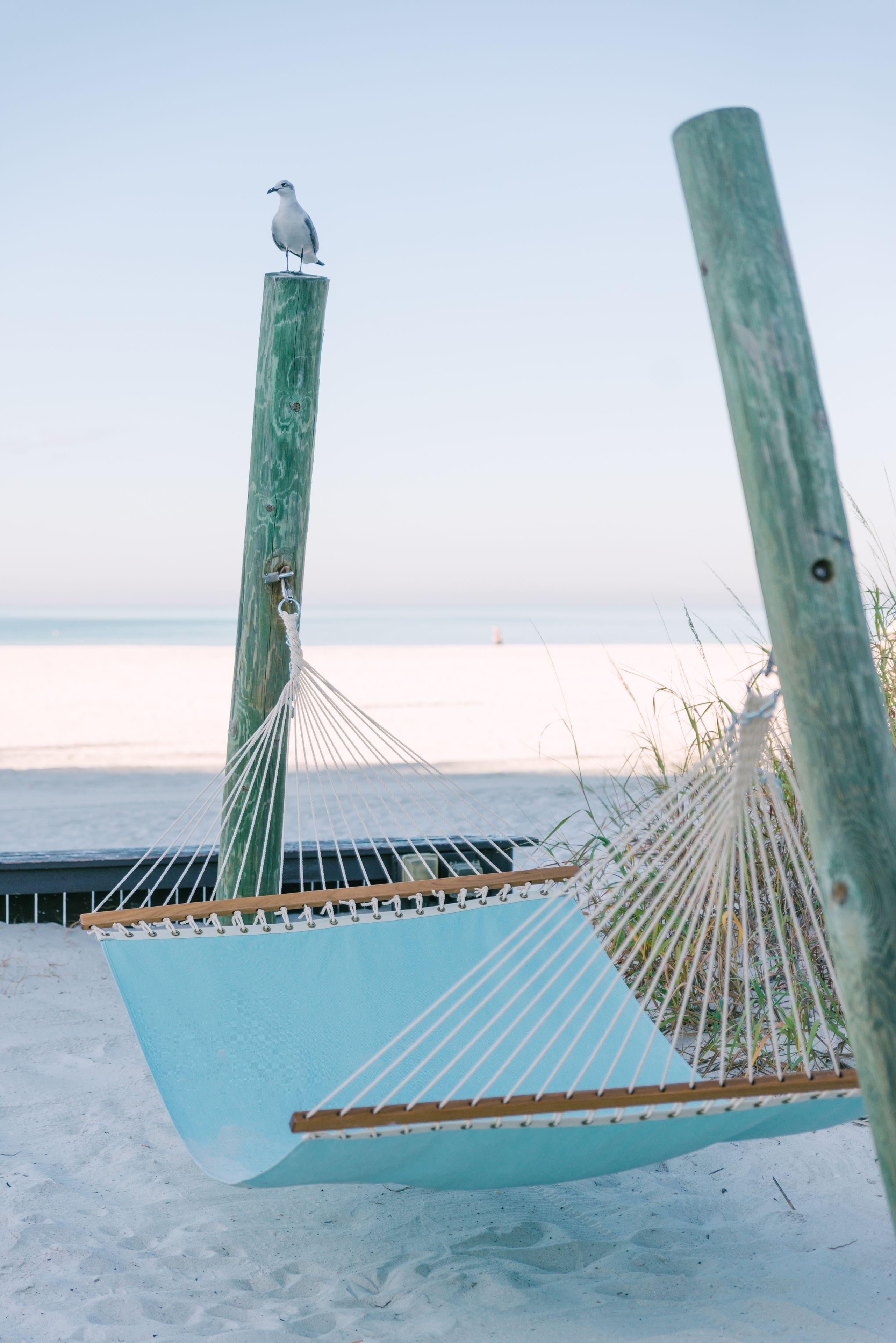 On the beach, beach cabanas, beach volleyball, 2 beach bars