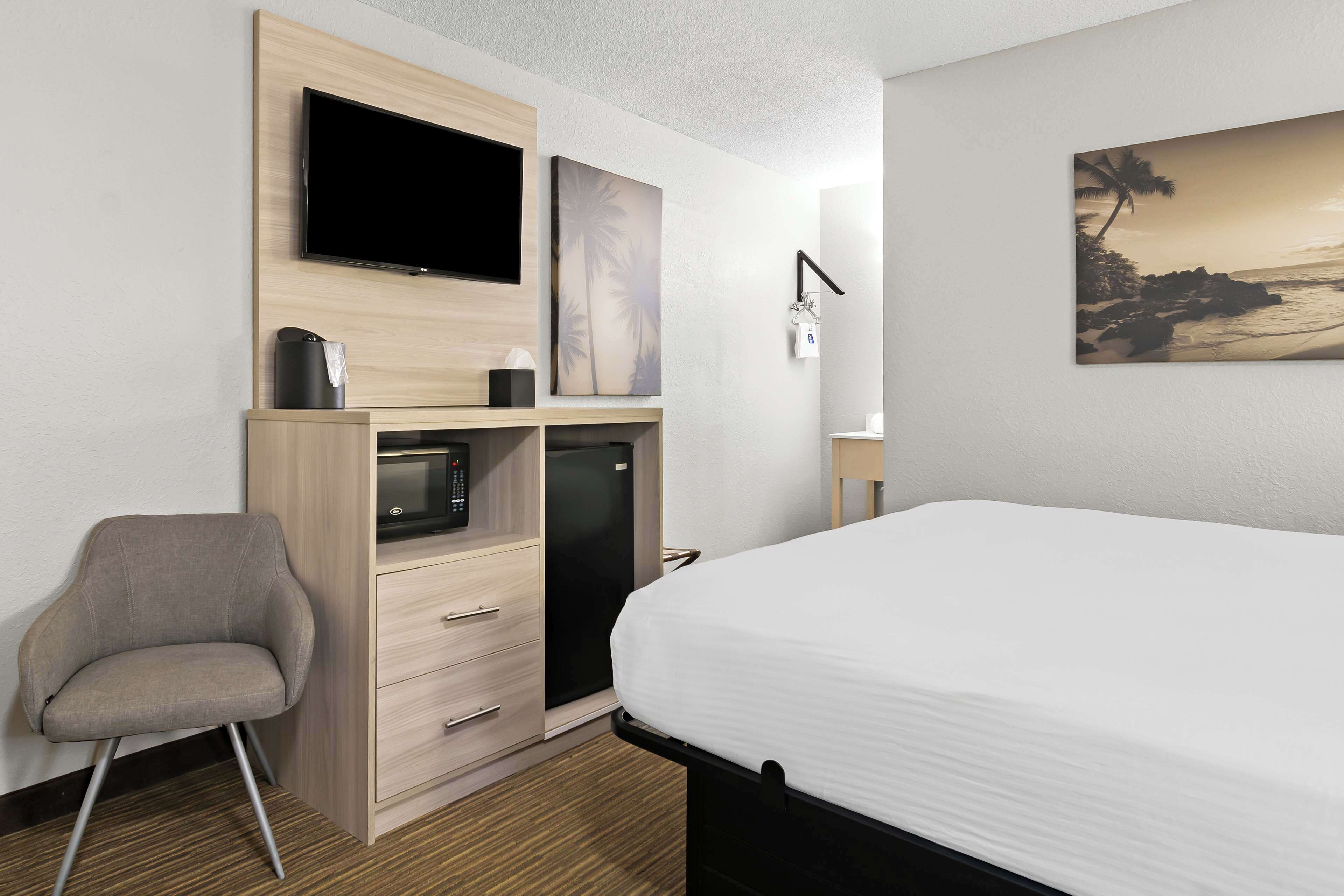A hotel room with a bed, a TV mounted on the wall, a small desk with drawers, a trash bin, and a picture of a beach scene.
