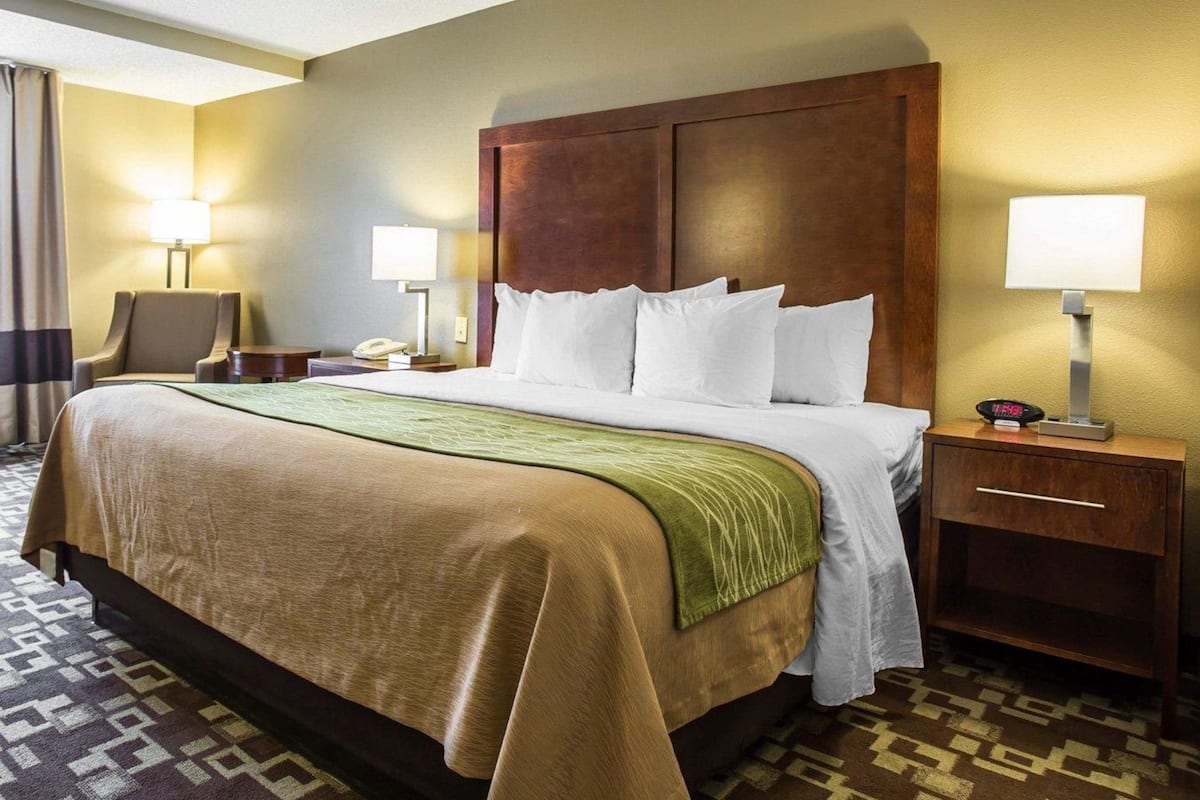 Standard Room, 1 King Bed, Non Smoking | Desk, iron/ironing board, free WiFi, bed sheets