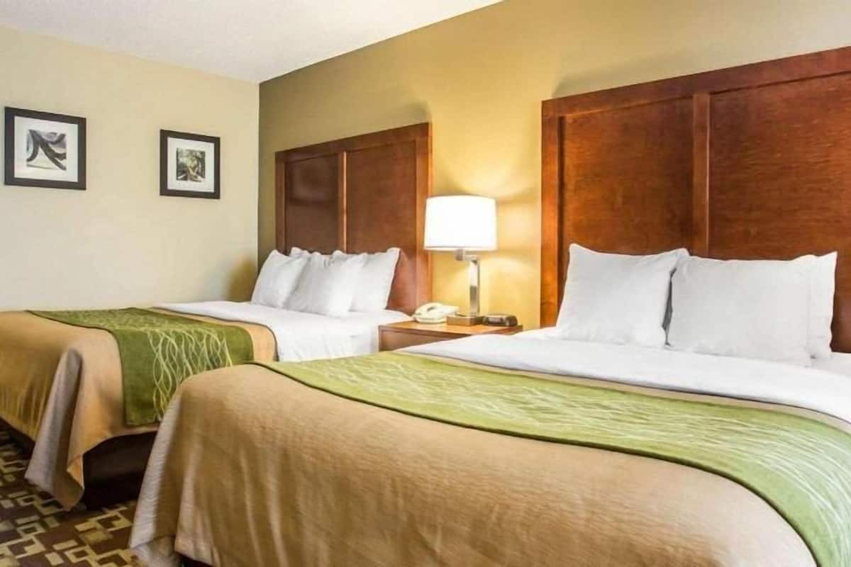 A hotel room with two beds, a nightstand with a lamp, and two framed pictures on the wall.