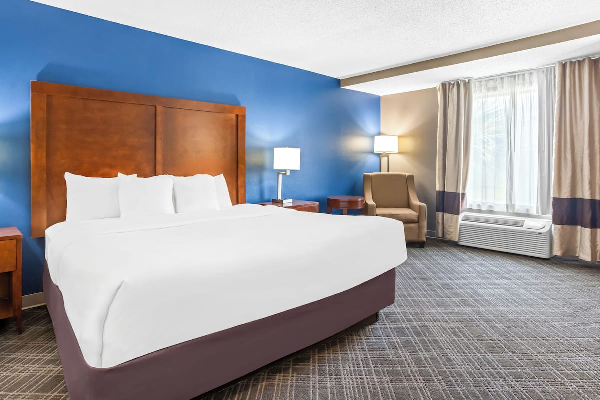 Standard Room, 1 King Bed, Non Smoking | Desk, iron/ironing board, WiFi (free), alarm clocks