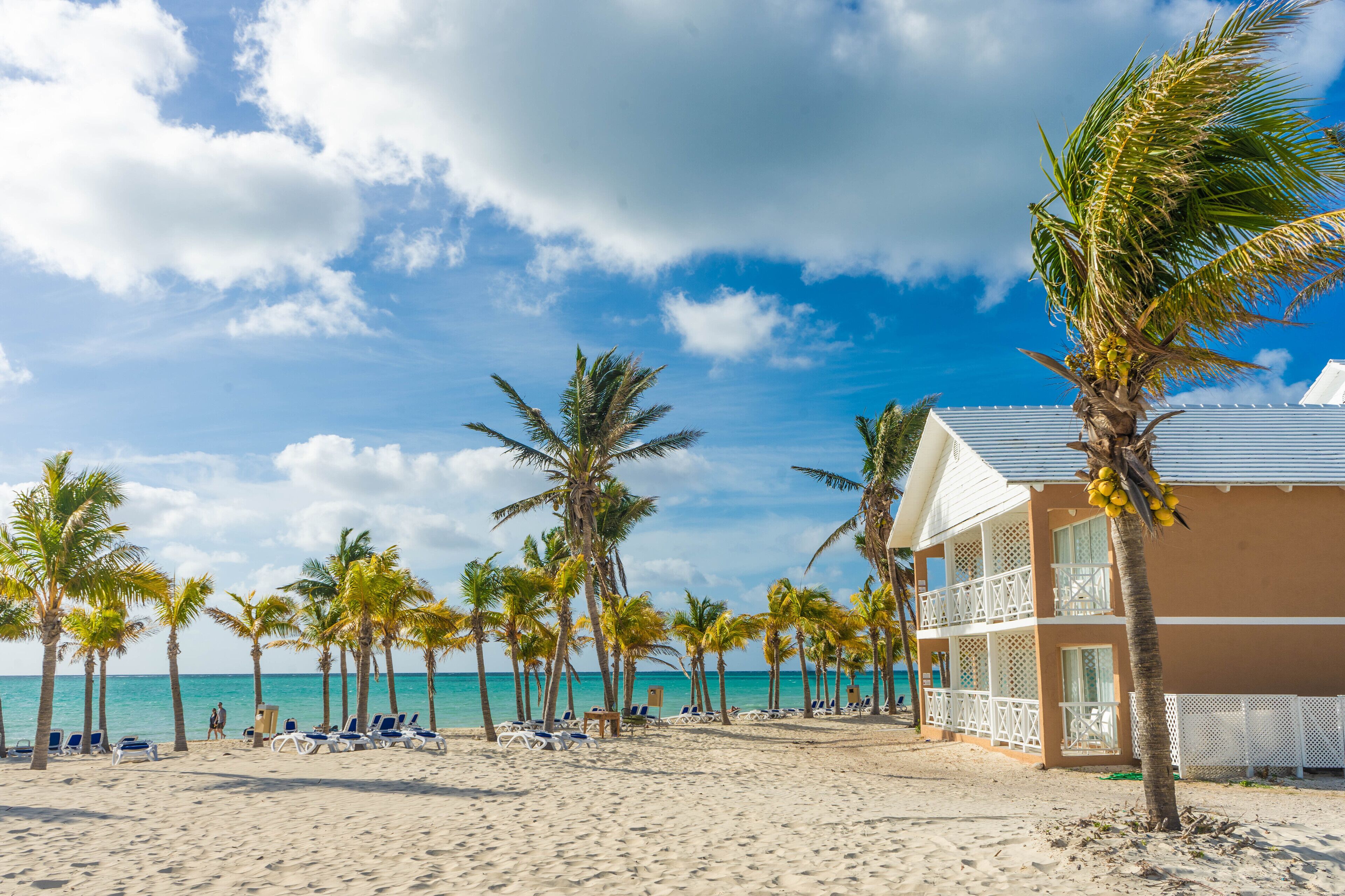 Ein Strand mit Palmen, ein Gebäude mit Balkonen und einem klaren Himmel.