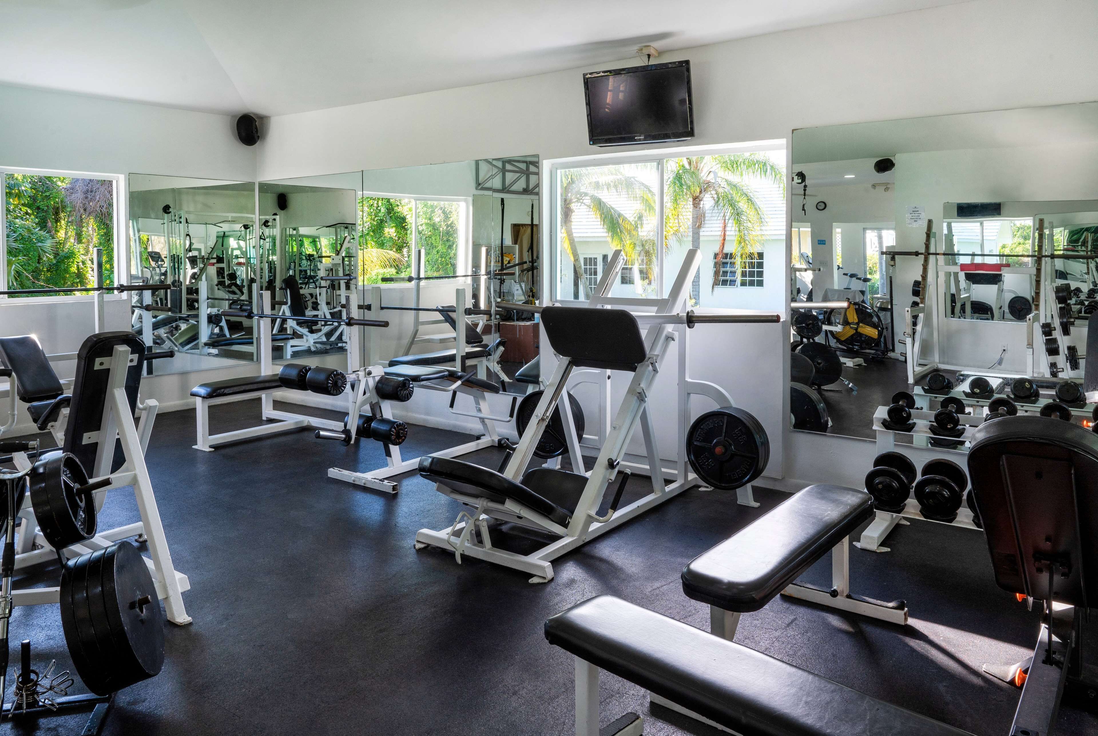 A gym with various exercise equipment, large mirrors, and windows with a view of palm trees.