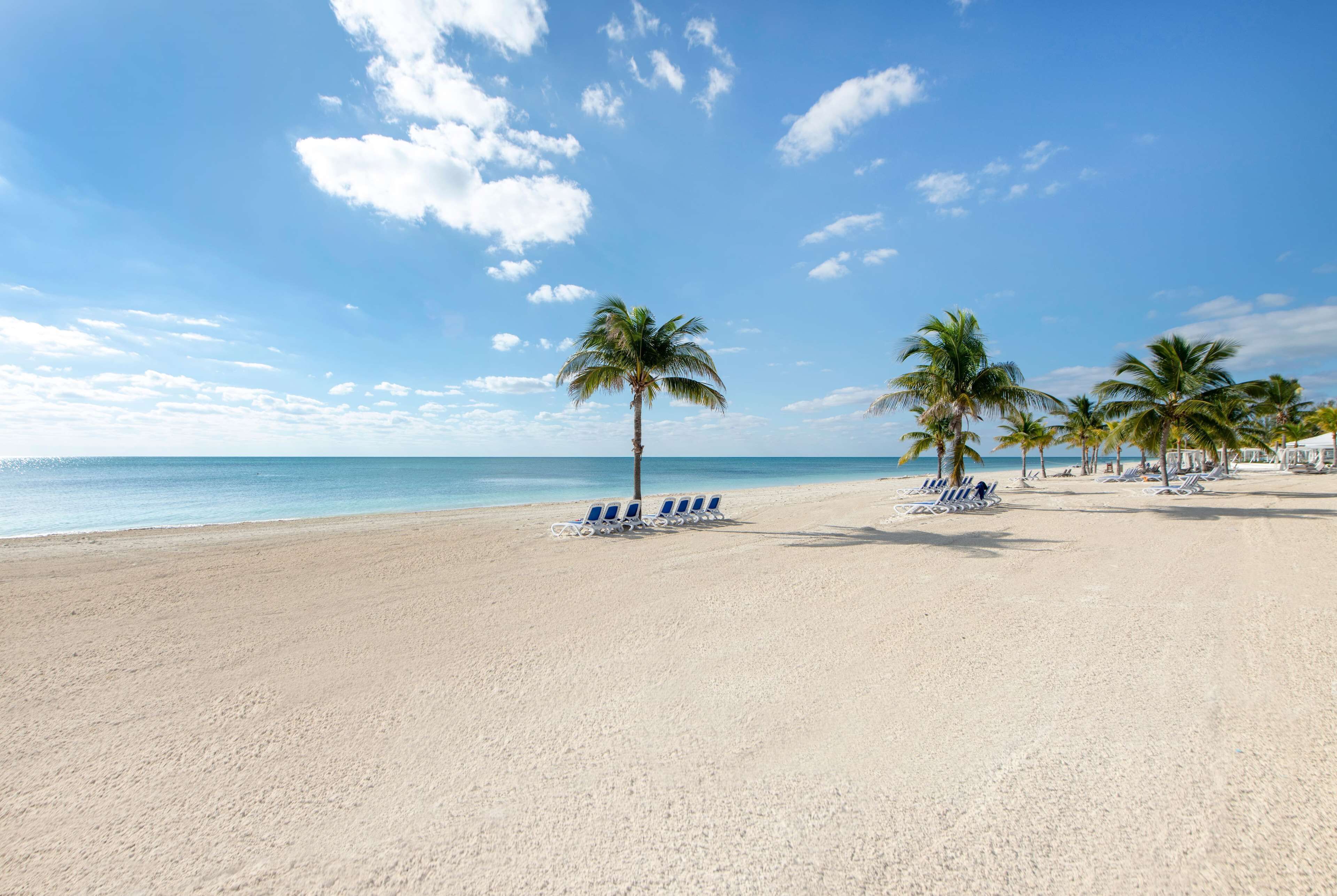 A beach with rows of blue and white sun loungers, palm trees, and a clear blue sky.