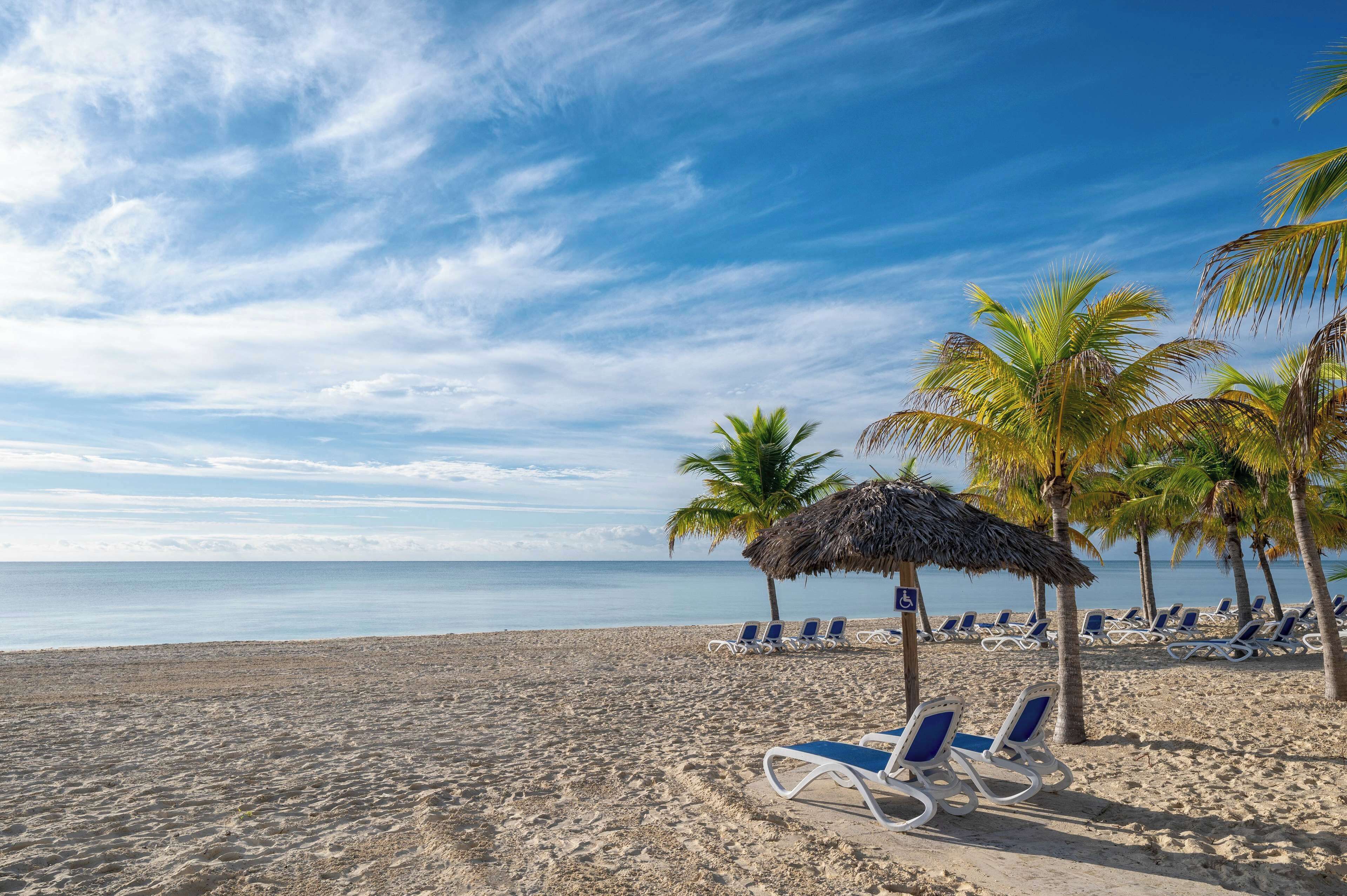 A beach with white lounge chairs, palm trees, and a clear blue sky.
