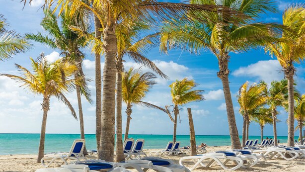 Une plage avec des chaises longues blanches et des palmiers.