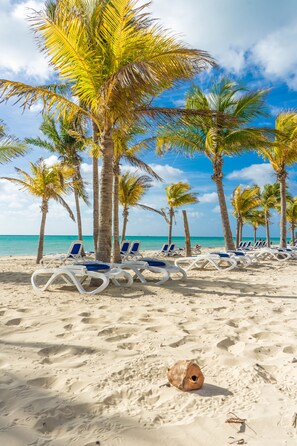 Una playa con sillas de descanso blancas y palmeras.