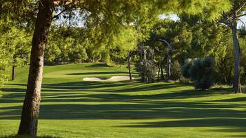 Un parcours de golf bien entretenu, avec des bunkers de sable, des arbres et un ciel dégagé.