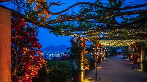 Ein Garten bei Nacht mit Lichterketten und Pflanzen.