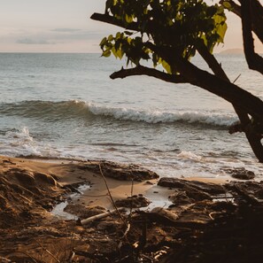 A beach with waves, rocks, and a tree branch.