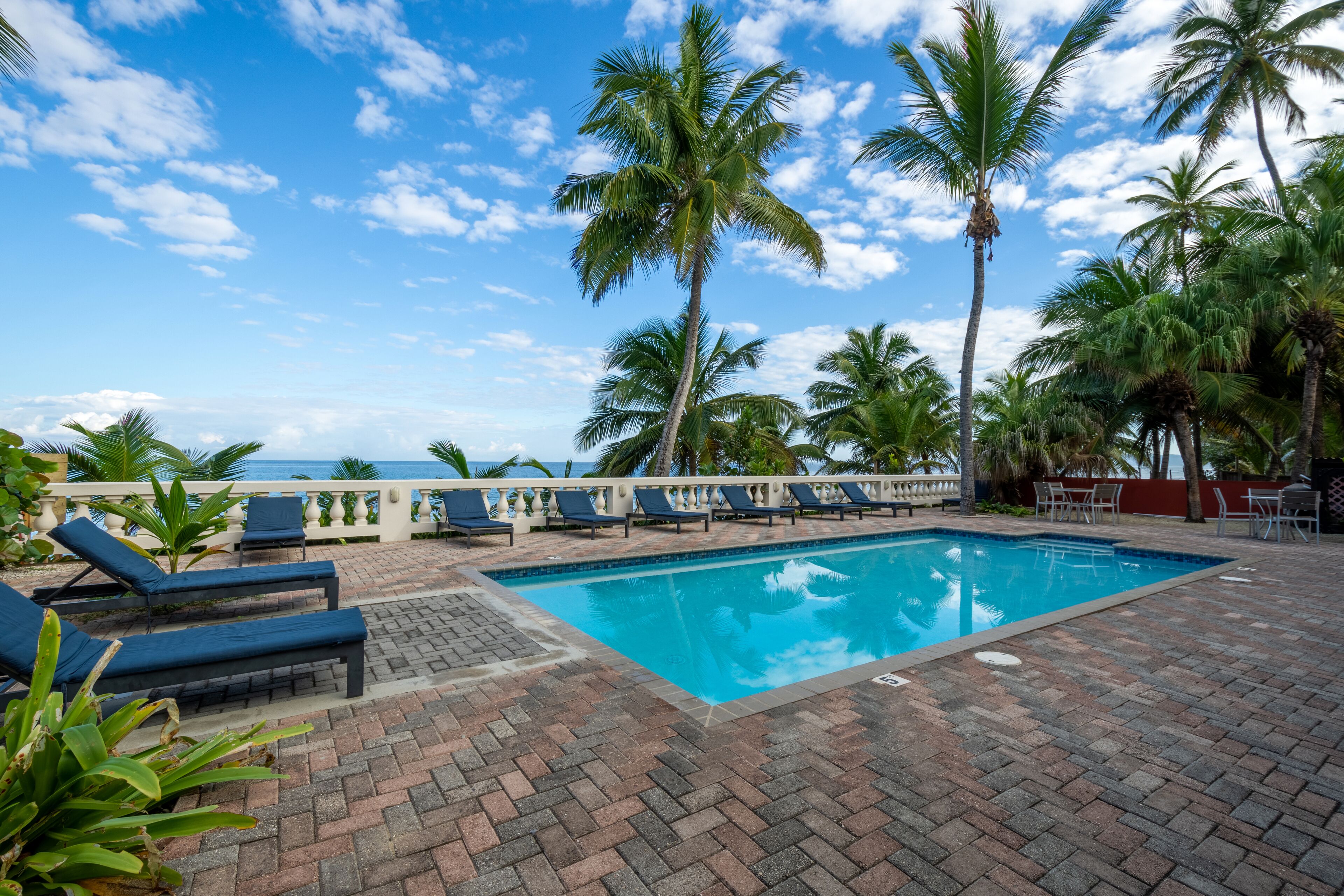 room, 1 queen bed, ocean view | view from room