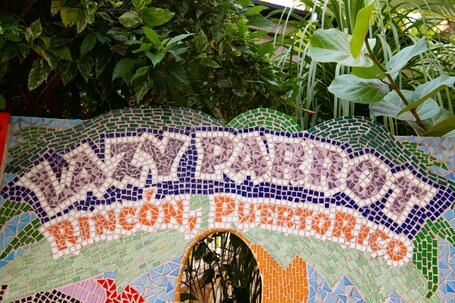 Lazy Parrot Inn - Image 28