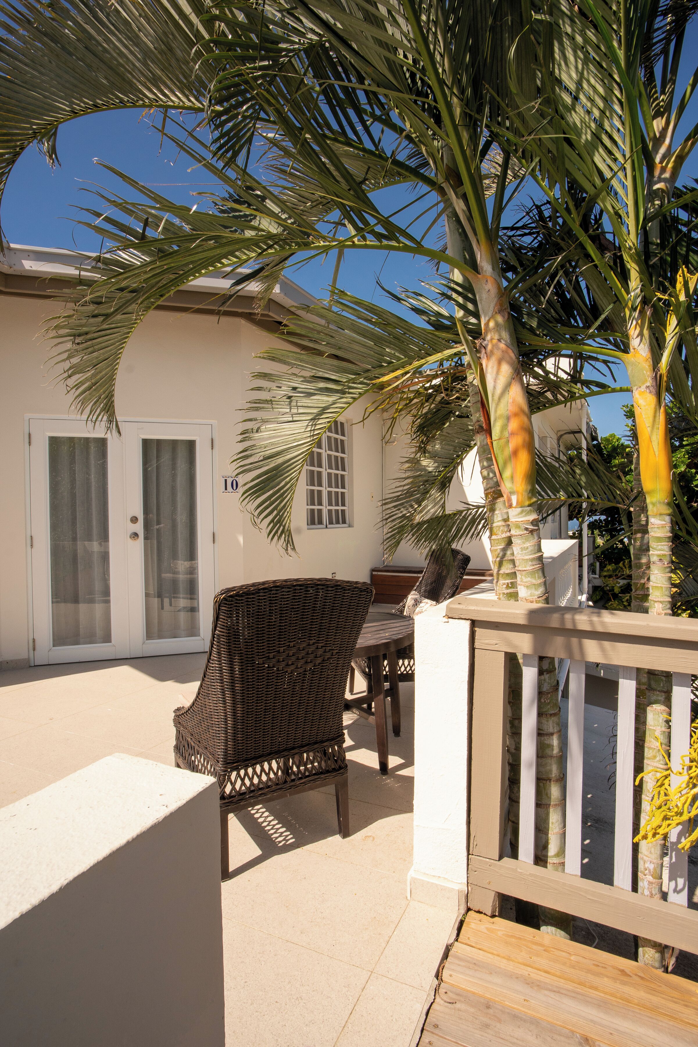 A patio area with a wicker chair, a table, and a palm tree.