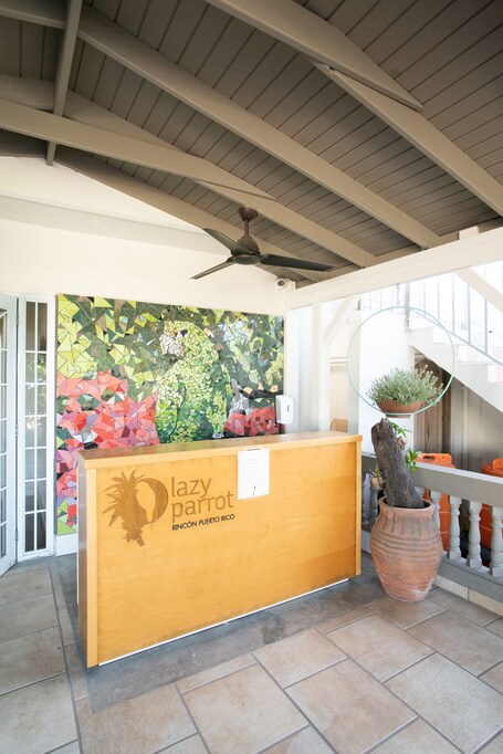 Lazy Parrot Inn - Image 5